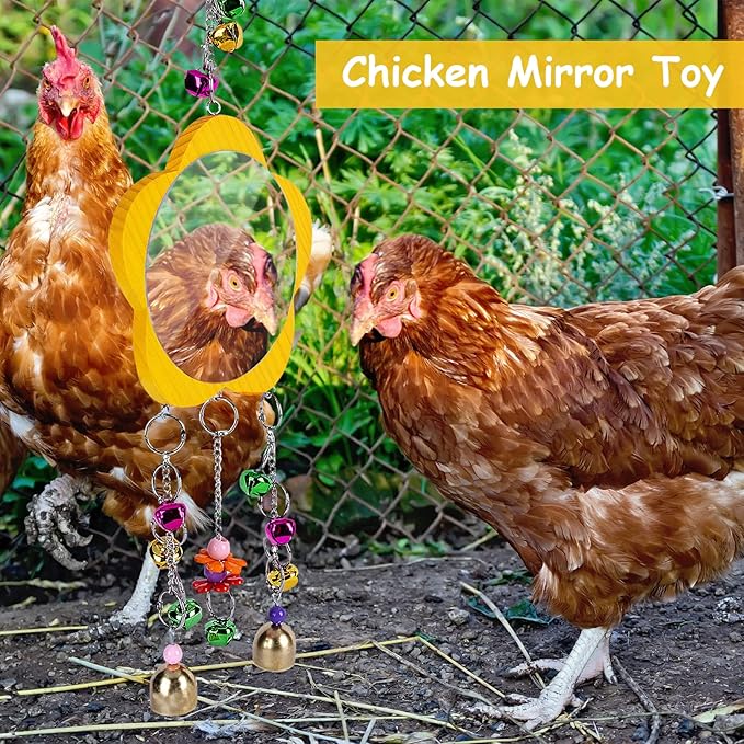 BNOSDM 5 Packs Chicken Xylophone Toy for Hens Chicken Mirror Toy with Bell Chicken Coop Toys and Accessories Veggies Skewer Fruit Holder Vegetable Hanging Feeder for Chicks Hens Roosters