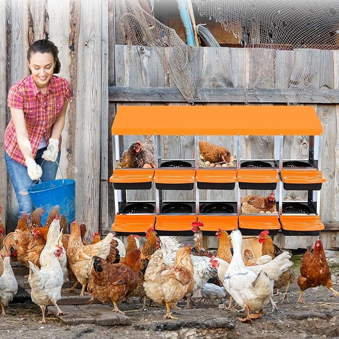 Chicken Nesting Box,10 Hole 2 Layer Hen Nest Boxes, Roll-Away Egg Collection System with Ventilation Holes，Rustproof Plastic Tray & Keyhole Mounting, Chicken Laying Box