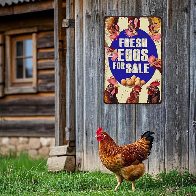 Vintage Fresh Eggs & Chicken Metal Sign Rustic Farm Eggs For Sale Tin Poster Home Kitchen Farmhouse Chicken Wall Decor 12x16 Inch