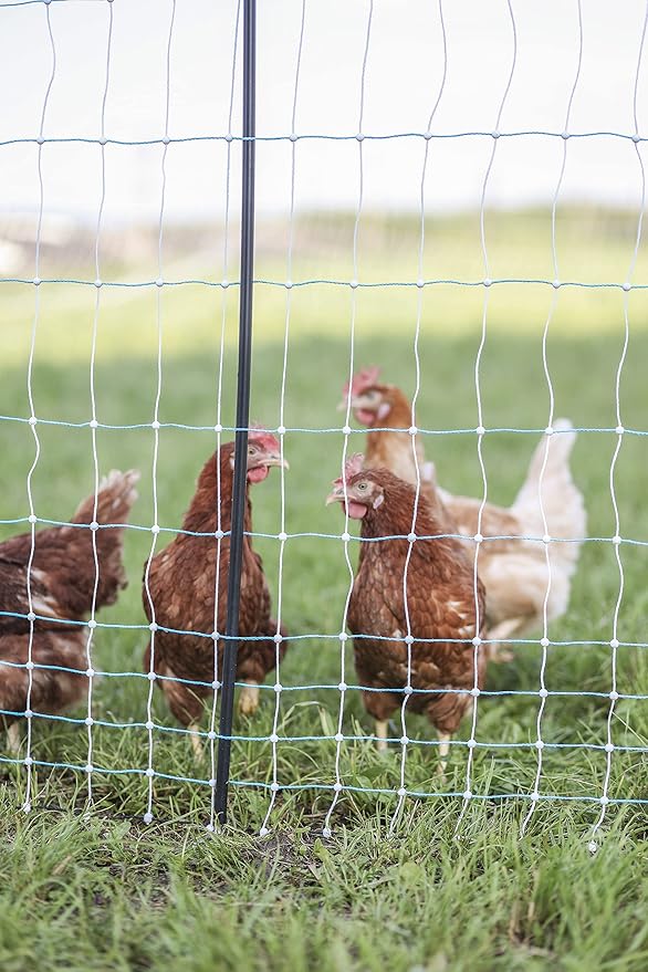 Starkline Standard Electric Poultry Netting 42" x 164' (11/42/3) Electric Chicken Fencing for Backyards, Homesteads, Farms, and Ranches