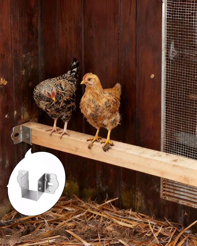 2Pcs Chicken Coop Roost Brackets, Metal Perch Mount for Chicken Coop, Heavy Duty Roost Bar Brackets for 2x3 Lumber, Come with Screws