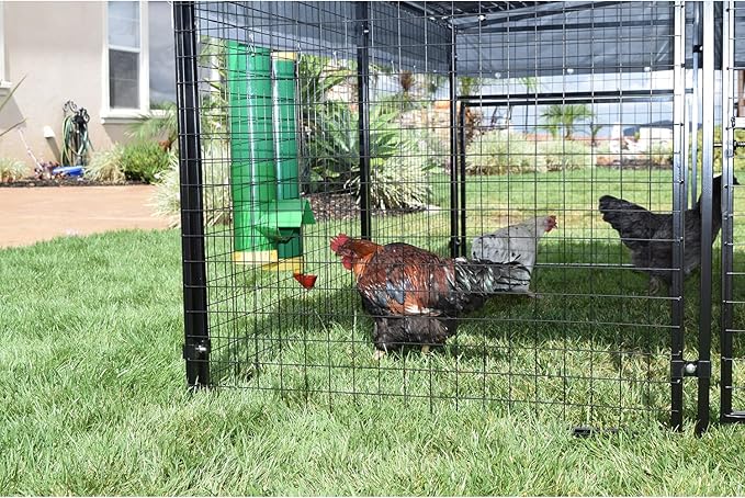Rugged Ranch 2-Pack 10-Lb Poultry Feeder for Chicken Coops, Outside-Mount Design - Weather-Resistant, Easy Refill Access & Rain Shield to Help Keep Feed Dry