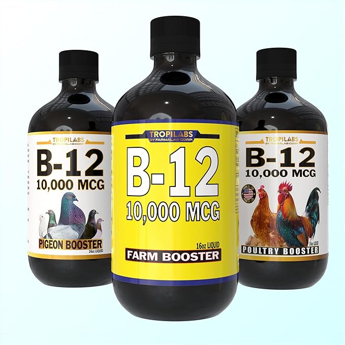 B12 B-12 Liquid 10,000 MCG Supplement for Poultry Birds, Chickens, Hens, Roosters, Pigeons, Ducks, Gooses, Turkeys & All Farm Animals 16oz Vitamin Drinking Water Additive (Pigeon Booster)