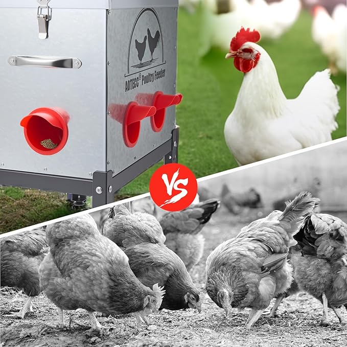 Metal Chicken Feeder, 40lb Automatic Chicken Feeder - 6 Feeding Ports, No Waste Poultry Feeder with Locking Lid & Legs for Outdoor Inside Chicken Coops Geese Ducks, Weatherproof, Rodent Proof
