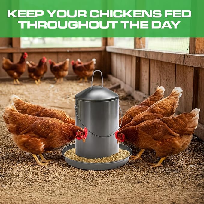 Plexon 6.6 Lb Poultry Feeder Stainless Steel Hanging Chicken Feeder no Waste Food-Grade with 10 Gallon Galvanized Storage Bucket with Locking Lid for Bird Seed Chicken Feed, Bundle