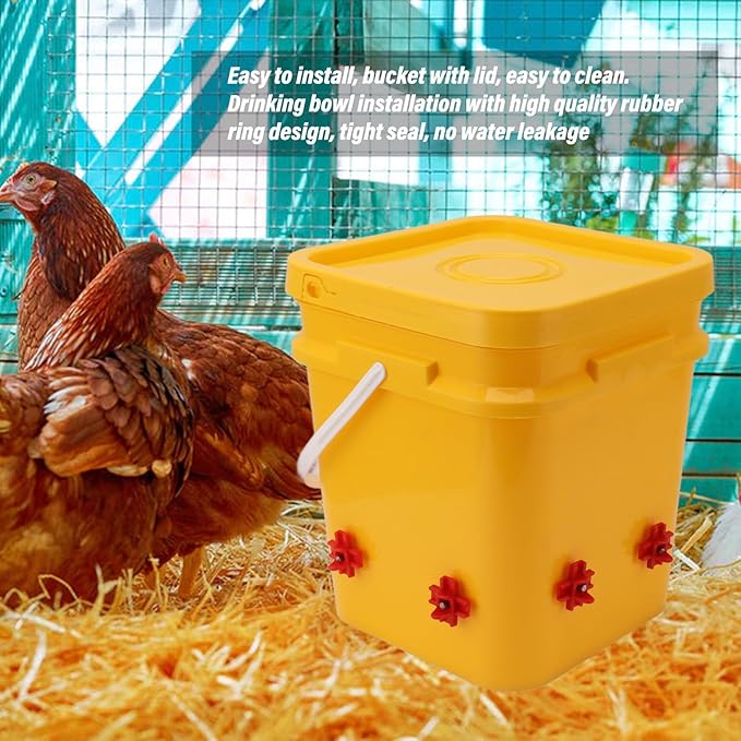 High Capacity Automatic Chicken Waterer Bowl with 12L Handheld Bucket Gravity Watering System for Quail, Easy Installation - Durable Plastic (Bucket + Four Corner Drinker + Black Screws)