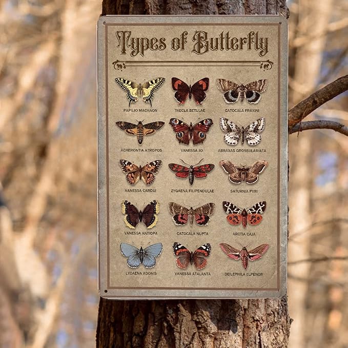 JOCASA Butterfly Vintage Aluminum Metal Sign Types Of Butterfly Poster Wall Decor-Retro Metal Tin Sign for Home Bedroom Kitchen Bar Home Cafe, Signs Gift,12''x 8''