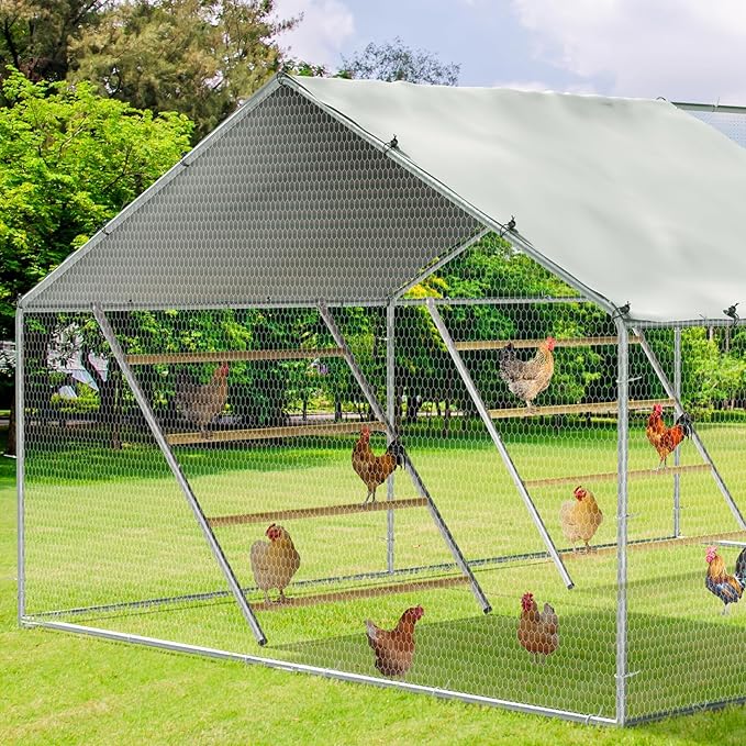 Chicken Coop Roosting Perch,Perfect for Backyard Poultry,Chicken Perch Essentials,Easy to Assemble&Clean,Farm Chicken Toys (56'' H x 41'' W)-2 pcs