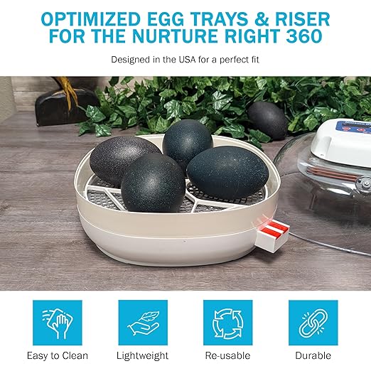 Egg Trays for Nurture Right 360 Egg Incubator (Various Sizes) (Extra Large w/Riser (Emu))