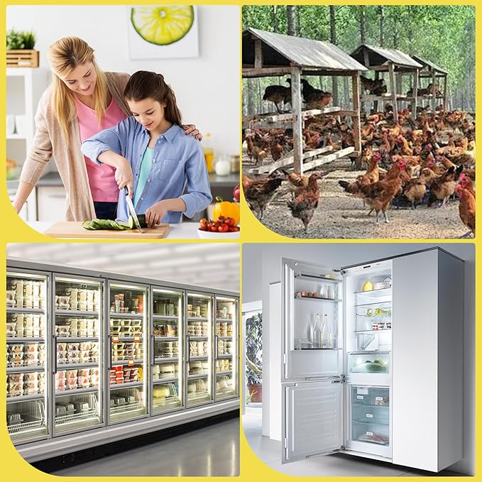 120 pc clear plastic Egg Cartons Cheap Bulk, 12grid Reusable Eggs Carton Bulk, clear plastic egg cartons,Egg cartons cheap bulk Perfect for Family, Farm, Markets, Display
