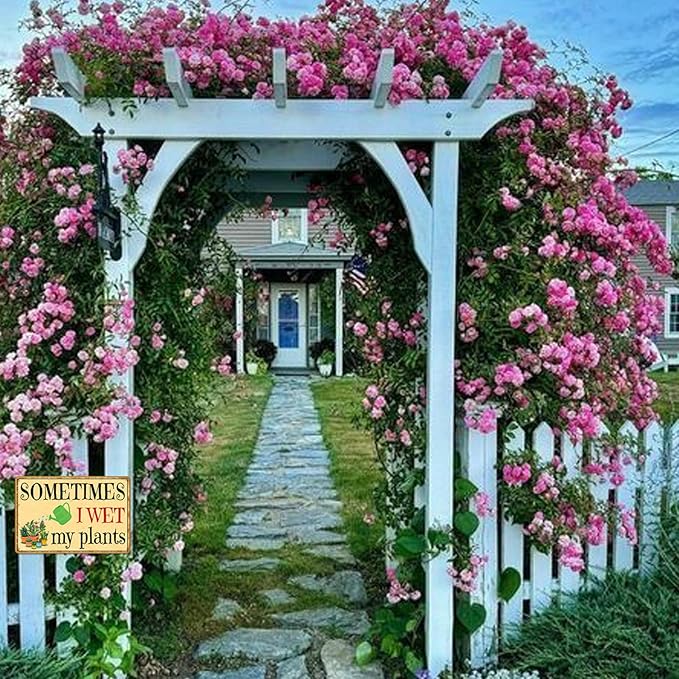 Metal Garden Signs for Outside Decor Funny Rustic Plant Lover Gifts Sometimes I Wet My Plants Sign Bathroom Wall Art Farmhouse Yard Sign Weatherproof Outdoor Home Gardening Decorations 8x12 Inch