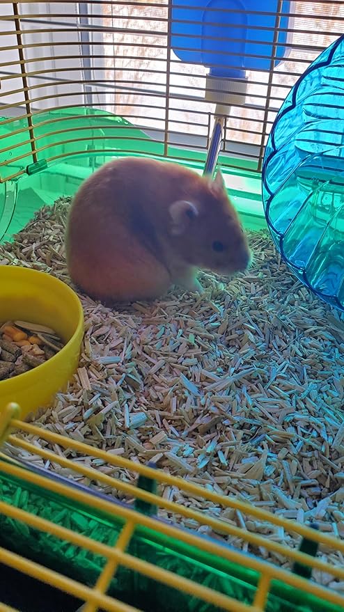 Cranky Frank Small Animal Hemp Bedding 10L – Ultra Absorbent, Odor Blocking, Dust-Free, Hypoallergenic, Biodegradable Bedding for Rabbits, Guinea Pigs, Hamsters & More (Small 10L)