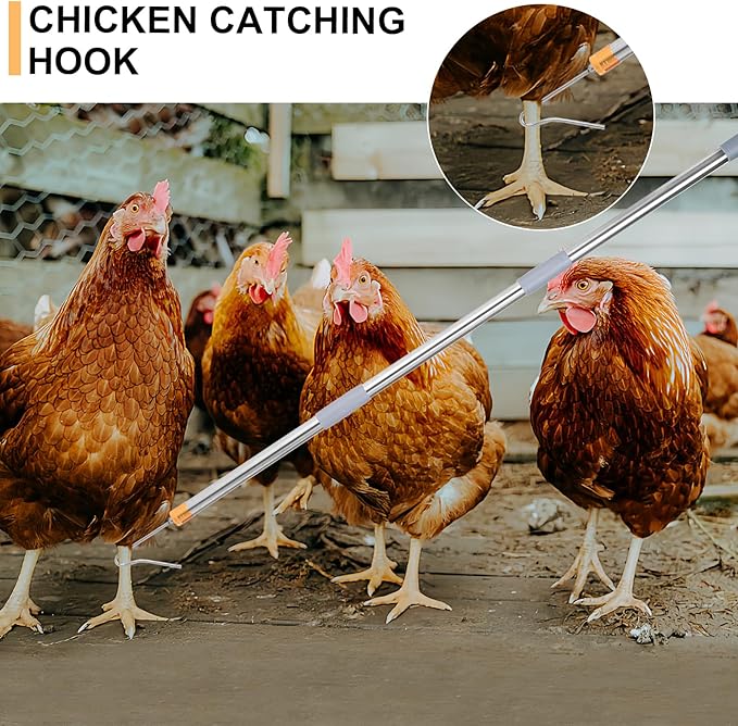 Chicken Catching Net ,30 to 75 inches Adjustable Pole Chicken Catcher Leg Hook , Suitable for Catching Small Duck,Goose,Bird,Fish, Skunk Bat and Raccoon etc（15.3 x 23.2 Inch Net with 75.5 Inch Pole）