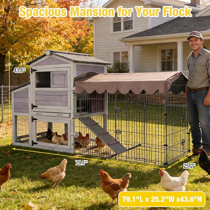 Aivituvin Durable Mobile Chicken Coop with Wheels, Waterproof Asphalt Roof, Steel & Cedar Wood Frame, Large Nesting Box, Predator-Proof, Removable Tray, Two-Level Chicken House for 4–6 Chickens