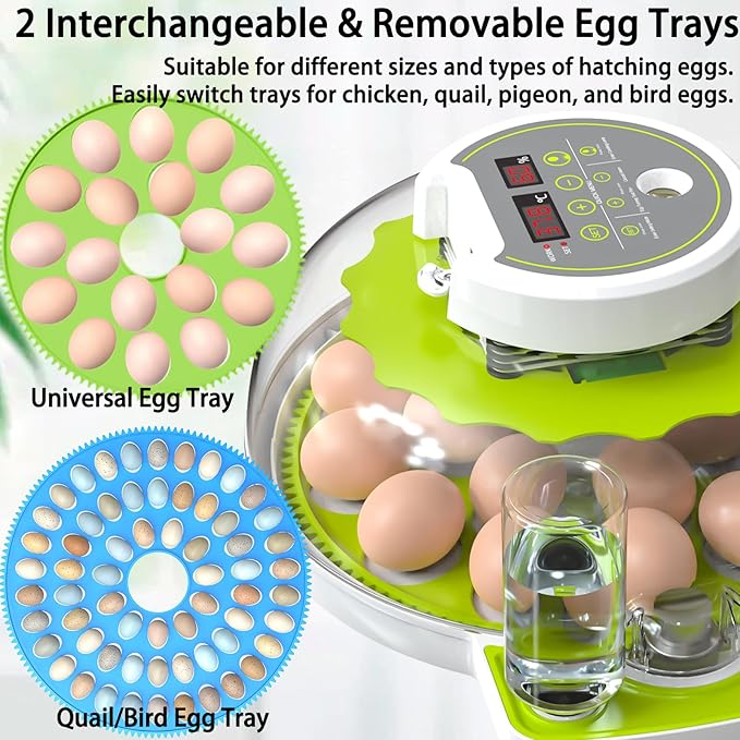 18/60 Egg Incubator with Humidity Display, Incubators for Hatching Eggs, Egg Candler, Automatic Egg Turner, Poultry Egg Incubator for Hatching Chicken Duck Goose Bird Quails- Green 2 Egg Trays