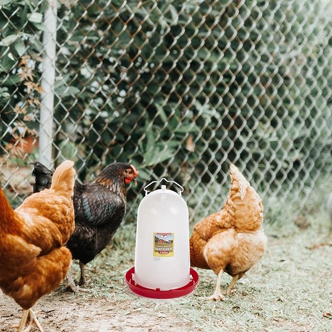 Little Giant Extra Large 3-Gallon Capacity Heavy-Duty Plastic Gravity Fed Poultry Waterer System (4 Pack)