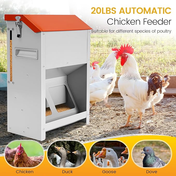 20Lbs Automatic Chicken Feeder Large Poultry Feeders No Waste Outdoors Metal Hanging Chicken Feeder Trough Dispenser with Lid and Visual Window for Chicken Poultry Turkey Duck
