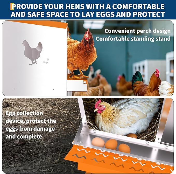 10-Compartment Chicken Nesting Box with Removable Tray - Metal Laying Boxes for Hens - Egg Rollaway Design, Wall Mount Farm Fresh Egg Collector, Hen Roosting Boxes for Chicken Coops