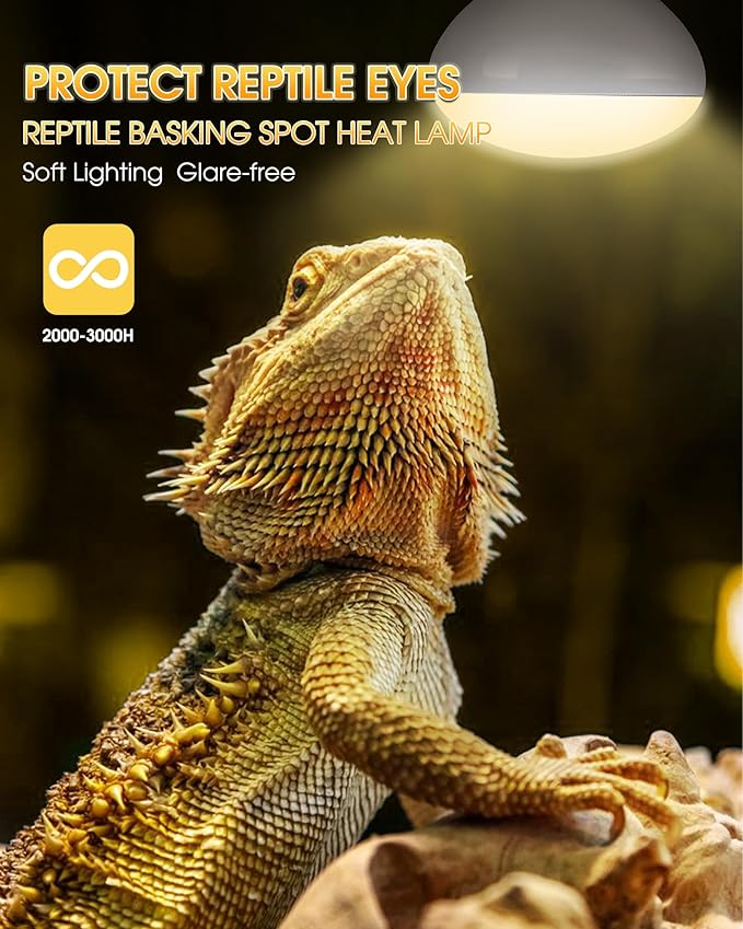 Reptile Heat Lamp Bulbs -100W UVA Natural Daylight Heating Lamp Basking Bulb for Bearded Dragon, Basking Spot Floodlight Light for Reptiles, Lizard, Turtle, Snake Bathroom, Plants,Chickens Pets,2 Pack