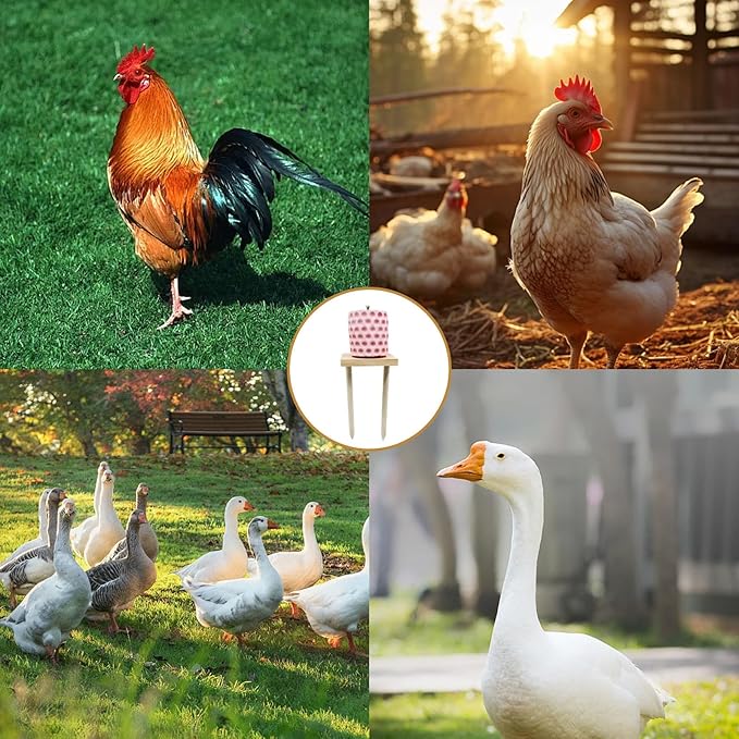 Chicken Coop Accessories, Beak Grinding Calcium Stone with Woodem Stake, Chicken Enrichment Toys, Chicken Coop Toys for Hens, Ducks, Geese, Turkeys, Poultry