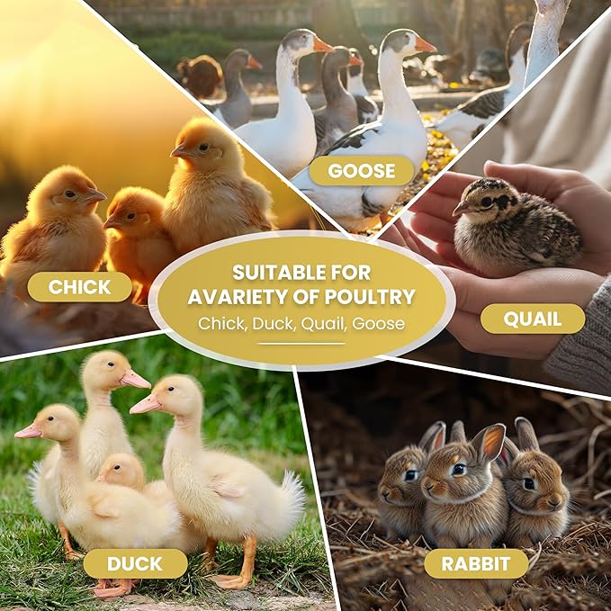 Chicken Brooder Box for Chick Starter Kit - 45" Brooder Box for Chicks - Large Chicken Brooder and Pet Tent - Brooder Box with Feeder, Waterer, and Cleaner - Chicken Box for Indoor Use