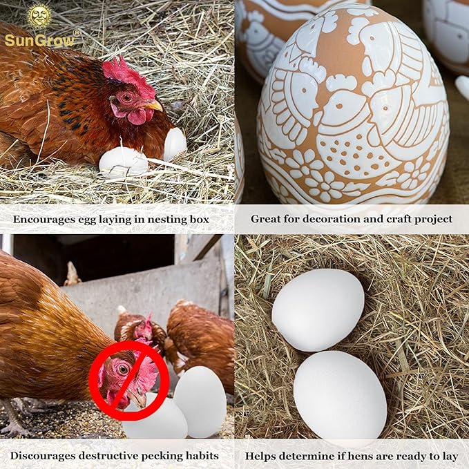 SunGrow Fake Wooden Eggs to Train Birds from Laying in The Nesting Boxes & to Stop from Eating Own Eggs, White Color, 5 Pack Suitable for Chicken and Duck