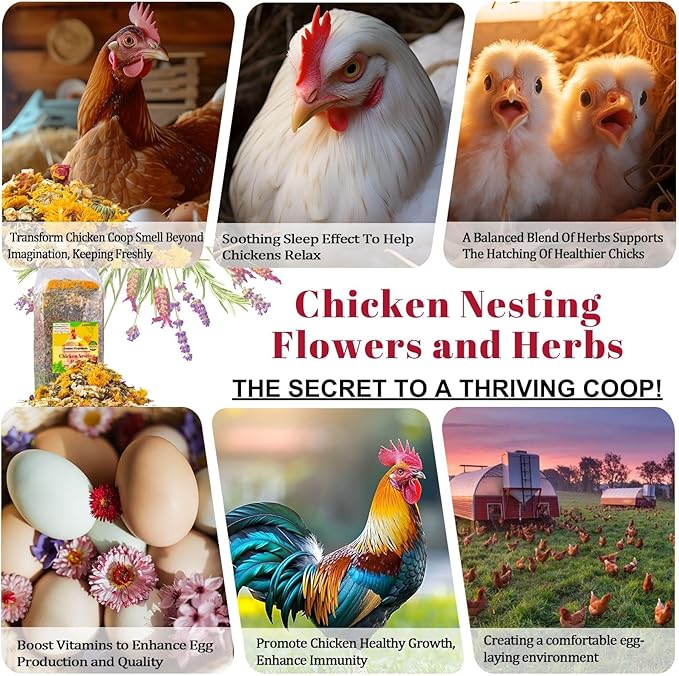 7oz Chicken Nesting Herbs for Chicken Coop - Nesting Box Herbs with 12 Dried Floral Herbs for Chickens, Coop Refresher for Chickens & All-Season Bedding for Backyard Laying Hens, Chicks, Ducks & Quail