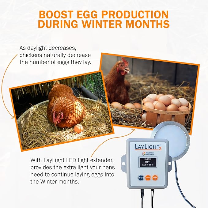 Incubator Warehouse AutoCoop LayLight2 with Smart Timer - Automatic Chicken Coop LED Daylight Extender - Chicken Coop Light with Programmable Settings for Boosting Chicken Egg Production