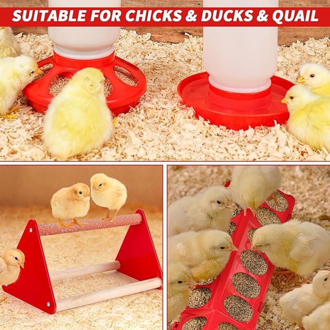 6 Pack Chick Feeder and Waterer Set - Chick Starter Kit with Mini Perch, Automatic Chicken Waterer & Feeder for Ducks/Quail, Coop Brooder Supplies for Small Poultry