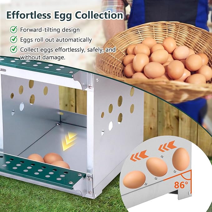 10 Compartment Nesting Boxes for Chickens with Large Vented Holes Roll Away Nesting Boxes Wall Mountable Laying Box Indoor & Outdoor Use Easy Egg Collection for Chicken Coop, Backyard, Farms, Green