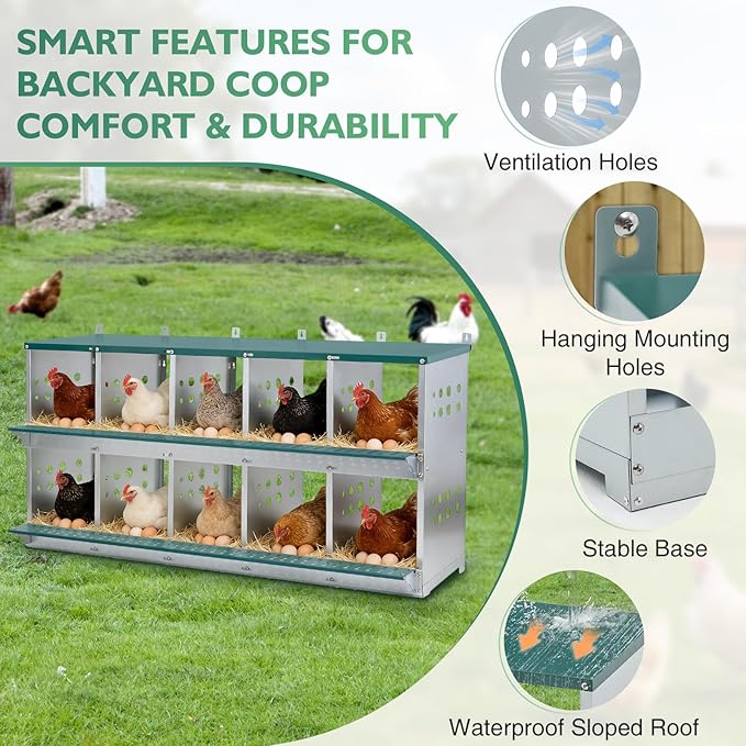 EAGLE PEAK 10-Hole Wall Mounted Chicken Nesting Box, Roll Away Hen Laying Box with Sloped Roof & Easy Clean Tray, Galvanized Steel for Backyard Chicken Coops (Green)