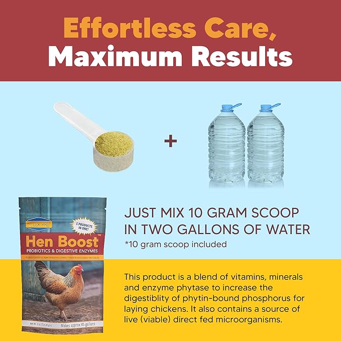 Equerry's Flock PRO Hen Boost - Digestive Supplement for Hens | Chicken Vitamins and Supplements | Probiotics, Digestive Enzymes, Electrolytes for Adult Poultry-8 OZ
