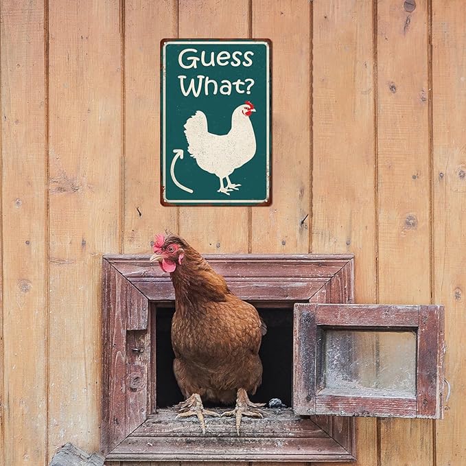 Guess What Funny Chicken Coop Tin Sign, Chicken Butt Poster, Farmhouse Kitchen Wall Art, Coop Accessories, Home Decor 8x12 Inch