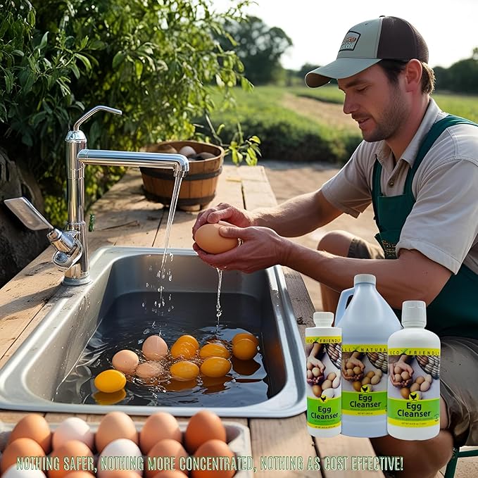 CareFree Enzymes Egg Washer & Egg Cleaner — Natural Enzyme Egg Wash for Fresh Farm Eggs, Safe for Backyard Chickens & Homesteads, 33.9 oz