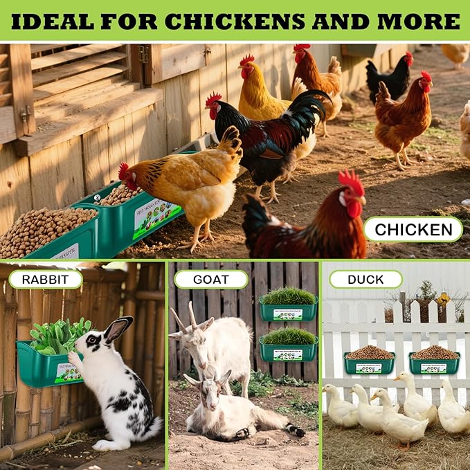 5 Pack Chicken Feeder, Duck Feeder Supplies, Hanging Fence Feed Trough with Clips for Goat, Sheeple, Piglet, Gooses, Turkeys, Dog Livestock Poultry, 8 Quarts in Total, Feed Scoop Included, Green