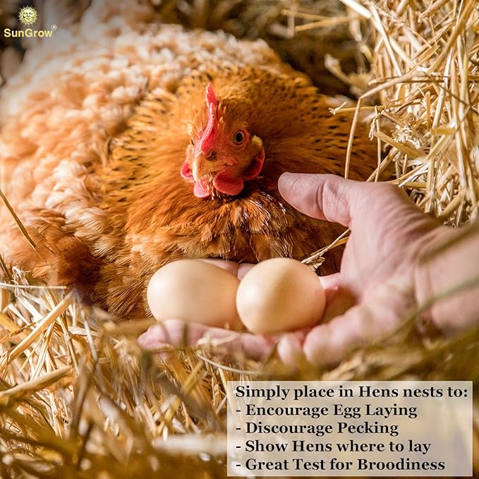SunGrow Fake Wooden Eggs to Train Birds from Laying in The Nesting Boxes & to Stop from Eating Own Eggs, Brown Color, 2 Pack Suitable for Chicken and Duck