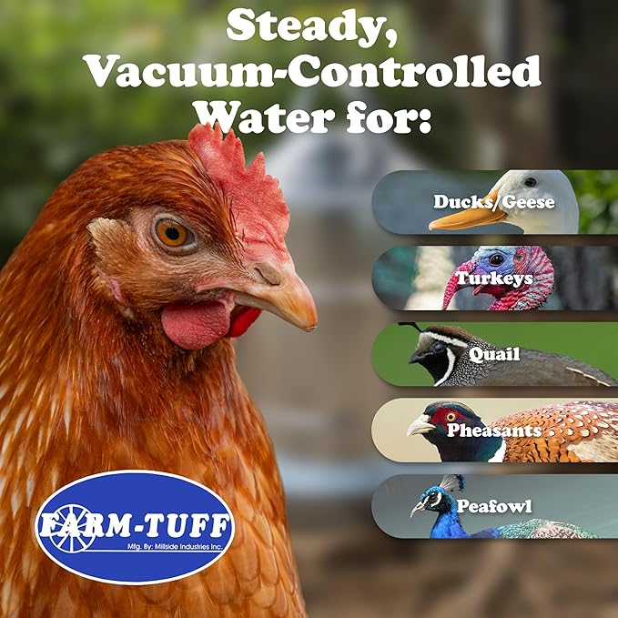 FARM-TUFF Galvanized Poultry Waterer, 2 Gallon Capacity - Double-Wall Poultry Fountain with Cone Top - Automatic Gravity-Fed Water Dispenser for Chickens, Ducks & Game Birds