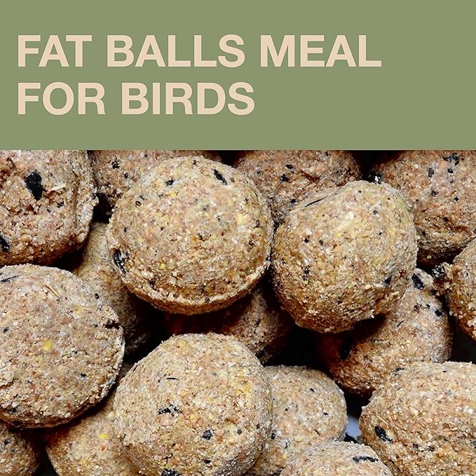 SWISSINNO Bird Feeders - No Mess Fat Ball/Suet Feeder for Outdoors Hanging - Smart Birds Lucerne Spill Proof Wild Cardinal Bird Feeder with Integrated Seed Catcher Tray - Sage