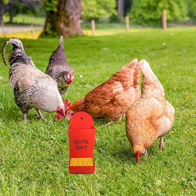 Gravel Feeder - Oyster Shell and Grit Feeder, Versatile Oyster Shell Feeders for Chickens,Hanging Chicken Feeders Trough,Precision Nutrition, Chickens Coop Accessories for Poultry (Red)