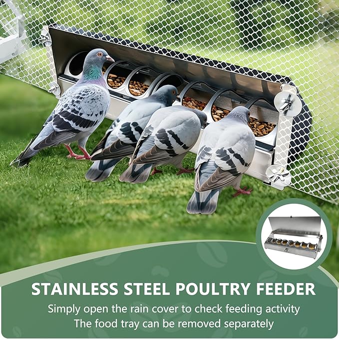 Hanging Chicken Feeder Metal Poultry Feed Trough Chicken Coop Fence Feeder with Rain Cover for Pigeon Turkey Geese Quails Ducks Bantams and Bird