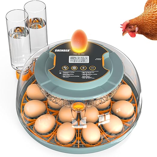 Egg Incubators for Hatching Eggs, Egg Incubator with Automatic Egg Turning and Humidity Control and Temperature Control, 18~36 Eggs Incubator for Chicken & Quail