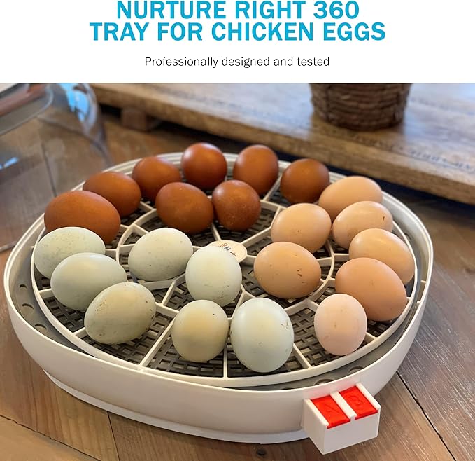 Incubator Warehouse Egg Trays for 22 Medium (Chicken) Eggs - Durable Egg Tray for Nurture Right 360 Egg Incubator - Hand Washable Eggs Keeper for Chicken Goose Turkey Emu (Various Sizes)