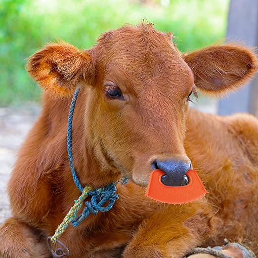 PAGOW 10 Pack Calf Weaner, Cattle Cow Weaning Tool, Farm Livestock Bovine Nose Clip, Cow Nose Thorn Milking Stop