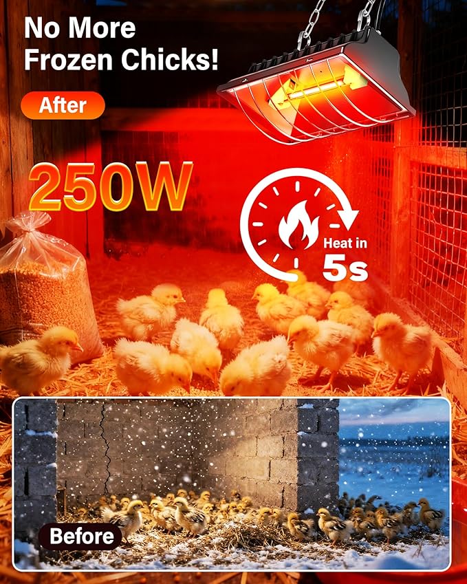 Chicken Coop Heater, ZIVASA 175W & 250W Dual-Mode Heat Lamp for Chickens with 3M Cord, Adjustable Hanging Height Brooder Heater for Ducks, Calves, Poultry and Livestock Pets Warmer in Winter