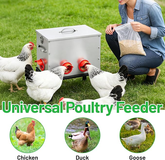 40lb Automatic Chicken Feeder, 6-Port Large Capacity Metal Poultry Feeder, Galvanized Steel Chicken Feeder for Hen Coop