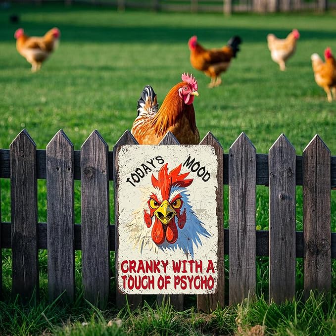 Funny Chicken Signs Today's Mood Metal Tin Sign 12x8 Inch Farm Rooster Wall Decor Chicken Coop Accessories Home Kitchen Garden Country Farm Backyard