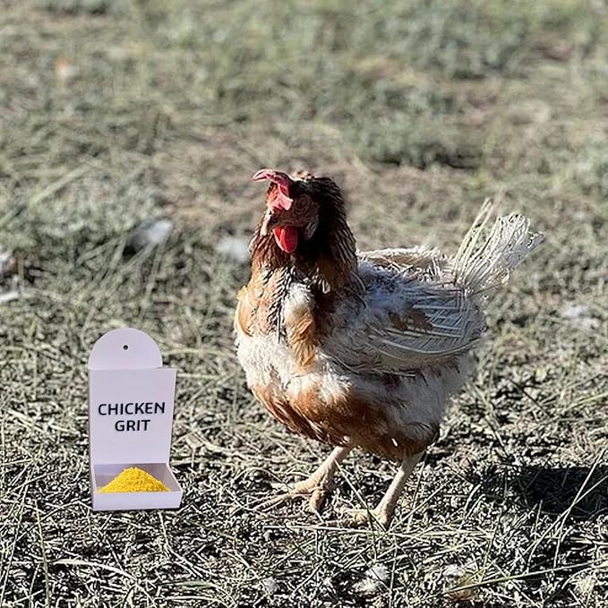 Gravel Feeder - Oyster Shell and Grit Feeder, Versatile Oyster Shell Feeders for Chickens,Hanging Chicken Feeders Trough,Precision Nutrition, Chickens Coop Accessories for Poultry (b)