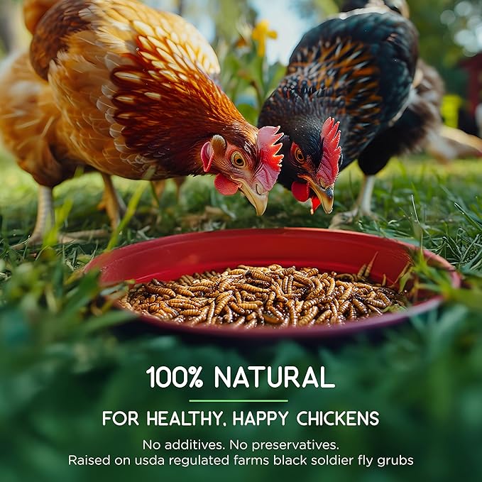FLYGRUBS 20 lbs Dried Mealworms for Chickens – 85X More Calcium,Non-GMO,High-Protein Feed & Molting Supplement for Hens, Ducks, Turkeys, Wild Birds, Additive & Preservative Free