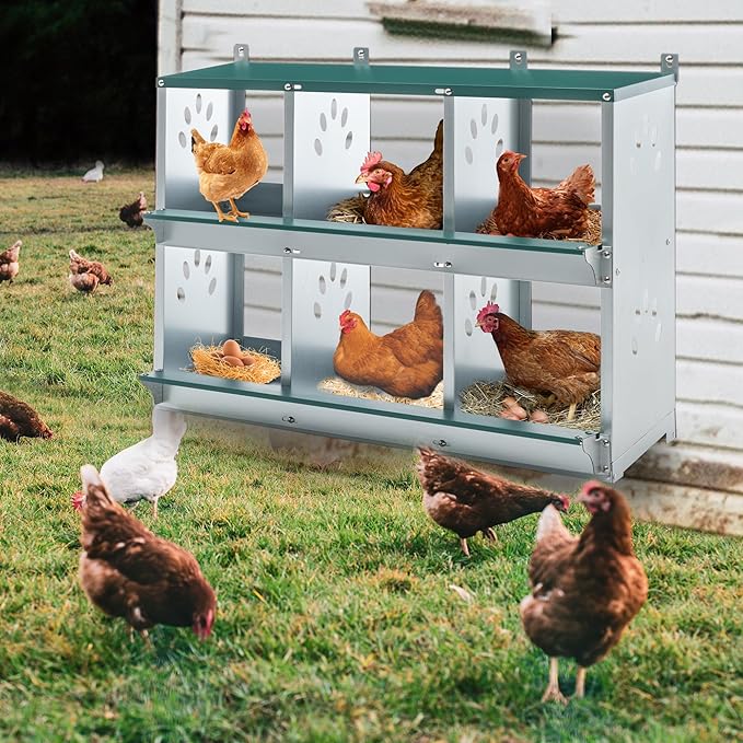 6 Compartment Chicken Nest Box, 6 Room Galvanized Steel Rustproof Metal Nesting Boxes, Chicken Egg Collection Laying Box for Hens