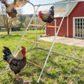 Large Metal Chicken Roosting Perch, Square Roosting Ladder for Outdoor Chicken Coop, Extended Metal Roost for Backyard Poultry Chickens and Small Animals (69" L x 41" W)